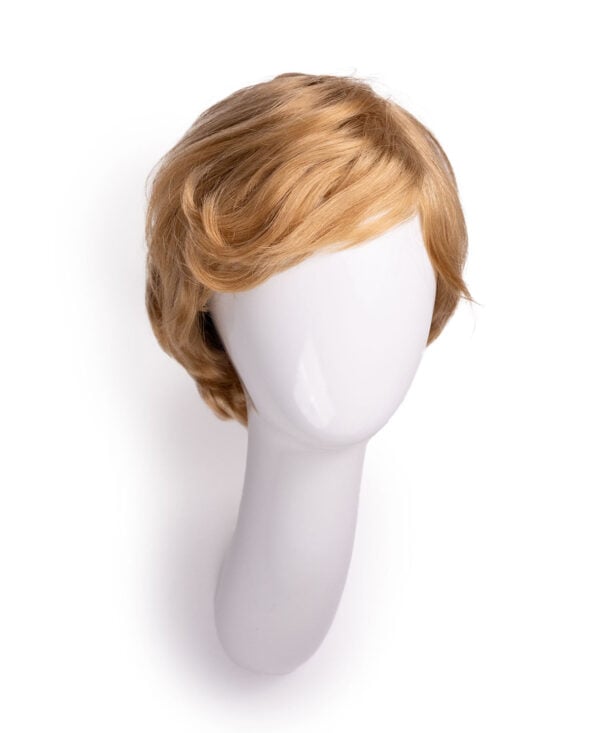 DSC03594-a wedge cut human wig - 8" honey blonde.