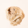 DSC04028-a_0f8bde6b-fa9f-42c9-b3b0-df02b0f9f121 vegan fiber messy bun - champagne.