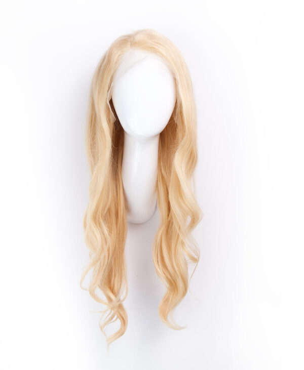 DSC05733-a front lace human wig - 18" honey blonde.