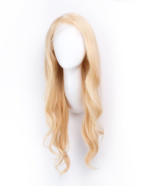 DSC05734-a front lace human wig - 18" honey blonde.