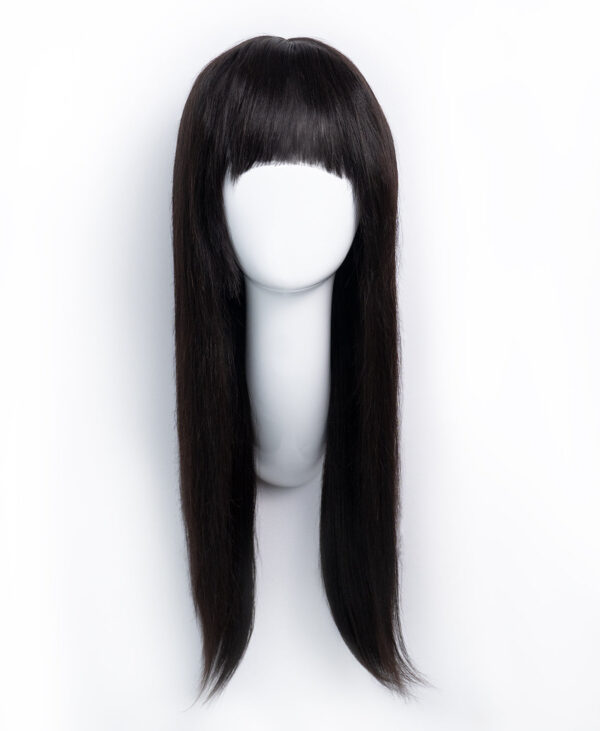 DSC07545-b human hair wig with fringe - 20" black.