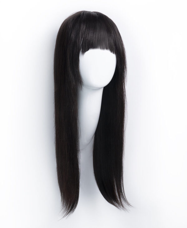 DSC07546-b human hair wig with fringe - 20" black.
