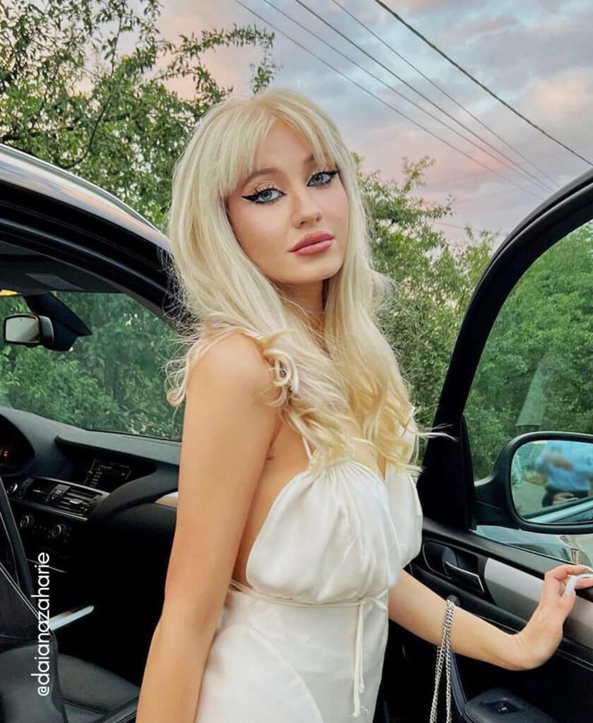 clip-in hair extensions #60 platinum blonde. - 20" / Classic
