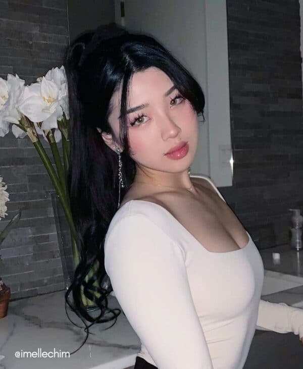 ponytail - #1 jet black. - 20 inches