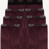 set-99-c clip-in extensions starter set (#99J).