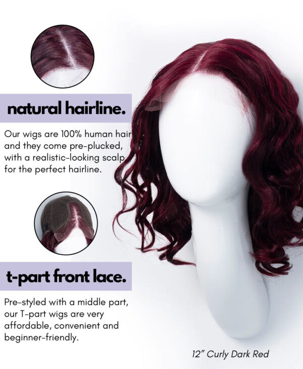wigsPDPinfographics-05 layered front lace human wig - 8" natural black.