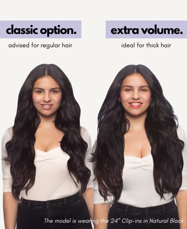 clip-in hair extensions #2-6 light ombre. - 14" / Classic