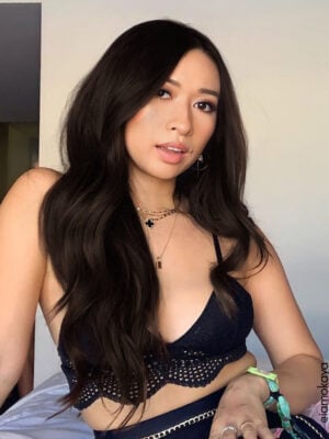 1girls-colors-1c-a clip-in hair extensions #1c dark brown. - 20" / Extra Volume