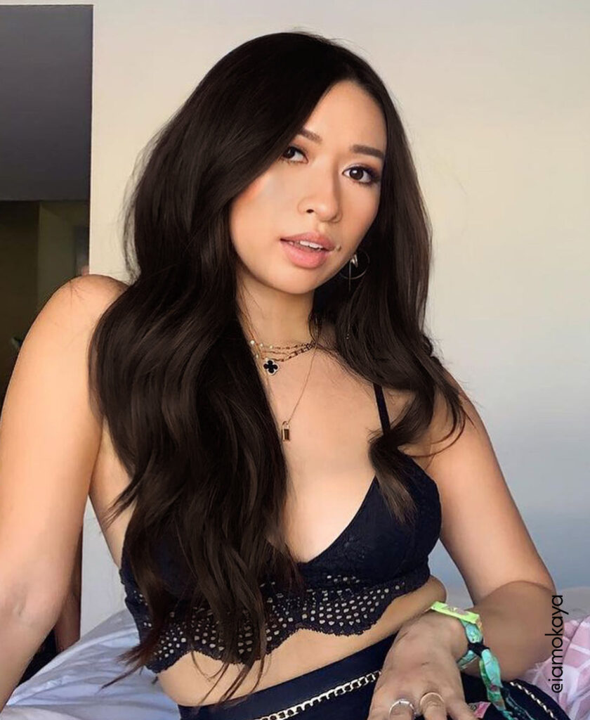 clip-in hair extensions #1c dark brown. - 20" / Extra Volume