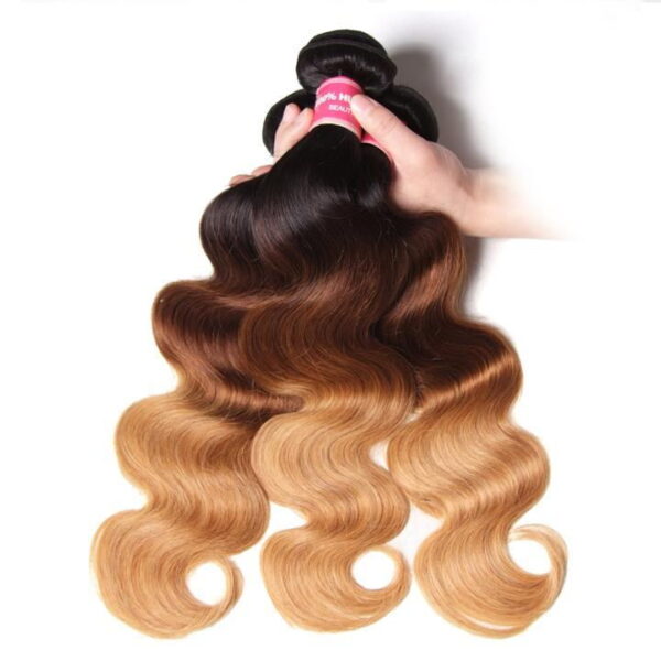 Sunber Hair Peruvian Ombre T1B/4/27 Color Body Wave Hair Weave 3 Bundle Hair Extensions - 20 22 24