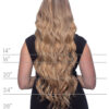 Back-pic-length_9b804771-6f29-4ec6-8208-4c8097397647 invisible clip-in hair extensions #1b natural black. - 14" / Classic