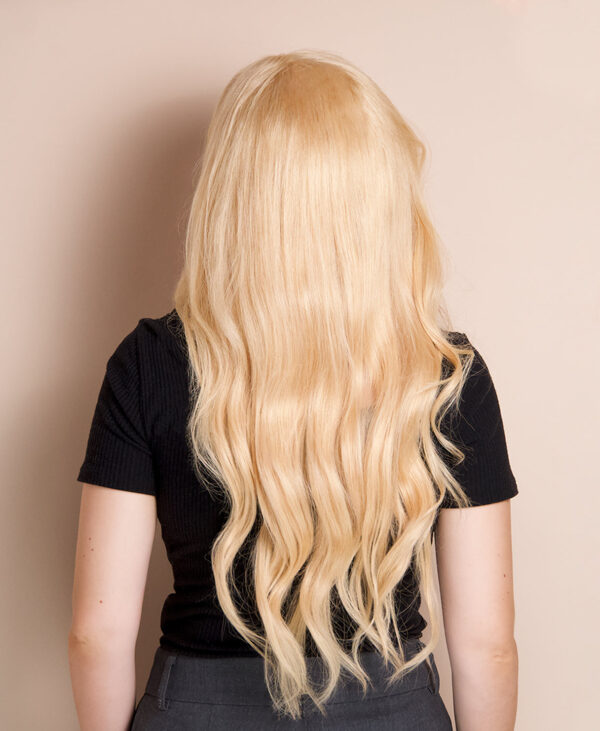 DSC05204-b front lace human wig - 20" honey blonde.