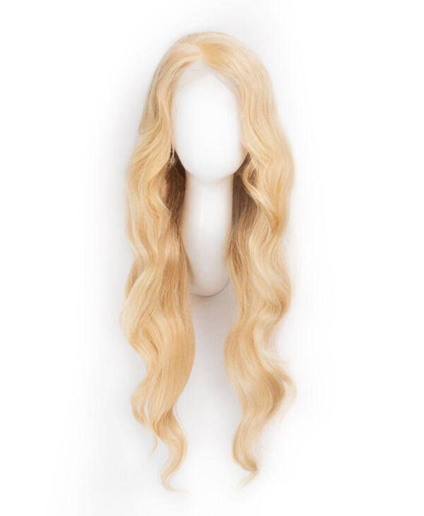 DSC05731-c-1_ee2f78b5-004f-4e7c-b1b7-509476fdc8f8 front lace human wig - 24" honey blonde.