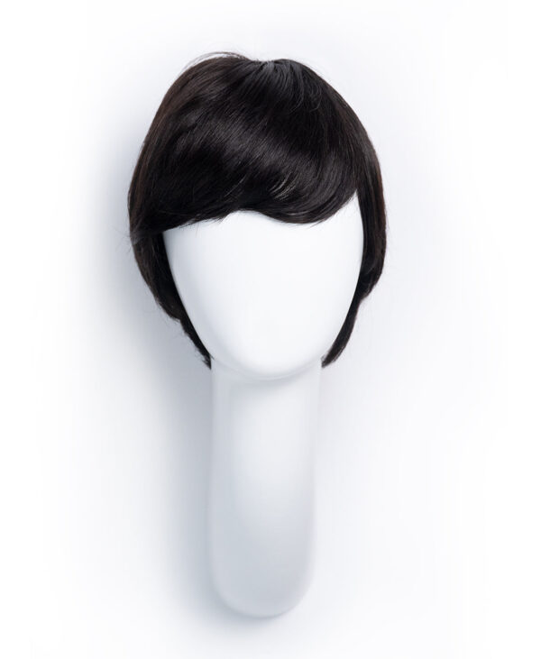 DSC07537-a pixie human wig with bangs - 4" black.