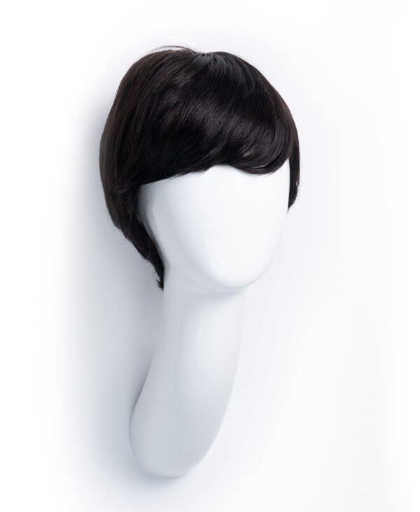 DSC07538-a pixie human wig with bangs - 4" black.