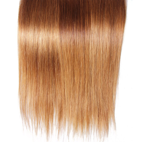 TST03 Sunber Malaysian Virgin Straight Ombre 3 Tone Color 3/4 Bundles Human Hair Extensions - 24 24 24