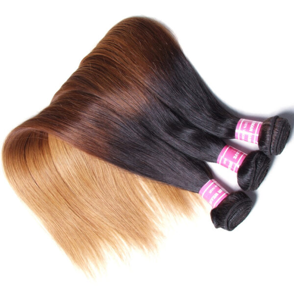 TST08 Sunber Malaysian Virgin Straight Ombre 3 Tone Color 3/4 Bundles Human Hair Extensions - 24 24 24