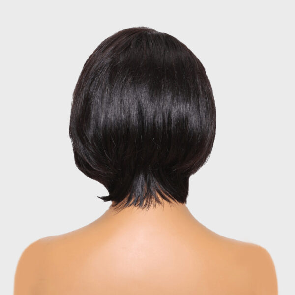 f97d988b-1864-4e4d-b3ac-b406ee5dd3c6_63699246-7235-466b-af78-505d066b9ac0 Glueless Wigs Natural Black Straight Pixie Cut Lace Frontal Wig - 5x5 / 8 inch / 180%